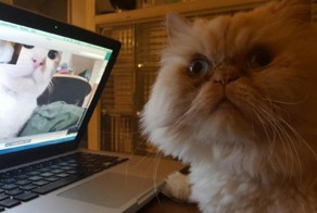 Фотоподборка за 02.12.2016