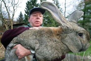 Хорошего настроения всем и везде и как бы оно не было!!!