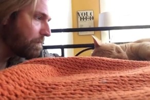 Так будет с каждым! Хозяин отомстил коту за ночные мяуканья