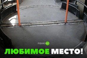 Свежая подборка автоприколов