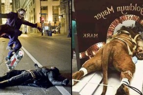 Разоблачаем фотоподделки, найденные на просторах Сети