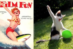 Кошки как девушки с обложки