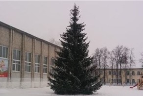 В тюменском селе чиновники «добыли» новогоднюю елку в палисаднике у старушки