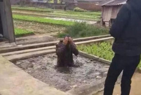 «Похитителя собак» запихнули в яму с экскрементами