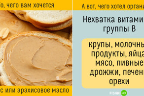 Пойми свой организм правильно: не всегда то, чего нам хочется, действительно нам нужно