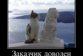 Демотиваторы