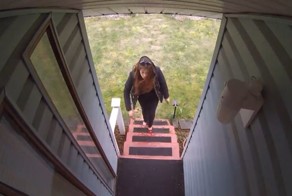 Мужчина положил на  пороге своего дома посылку-ловушку, которая заставила визжать воровку