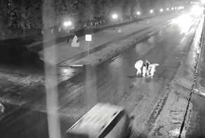 Водитель, сбивший насмерть девочку, получил два года условно