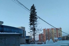 Жителей Копейска возмутила лысая елка на центральной площади города