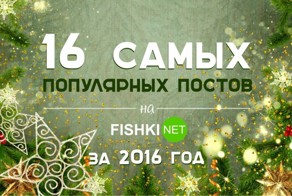 16 самых популярных постов на Фишках за 2016 год
