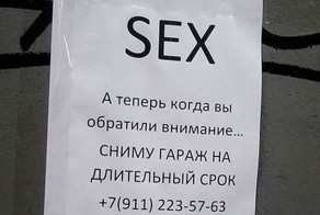 Вокруг секса