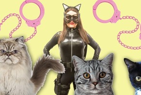 Оказывается, владельцы кошек больше других склонны к подчинению и БДСМ