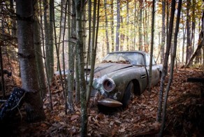 В лесу нашли на брошенный Aston Martin стоимостью $400.000
