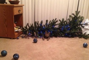 Добрый вечер!!!