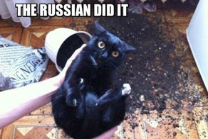 Хештег #russiandidit стал новым хитом интернета