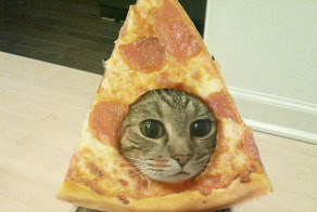 10 самых глупых способов сделать фото, которые вы еще не пробовли