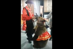 Медведица набросилась на девушку на съемках телепередачи «Про любовь»