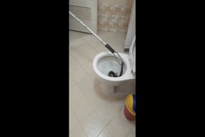 Обычное зрелище в австралийском туалете