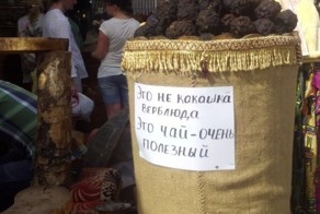 А у вас бы хватило воображения на это?