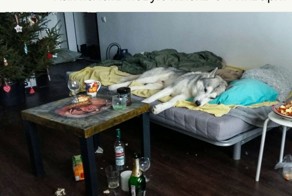 Прикольные картинки из сети