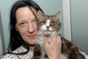 Кот вернулся домой спустя 14 лет!