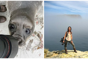 Любопытный и очень фотогеничный тюлень попал в объектив фотокамеры