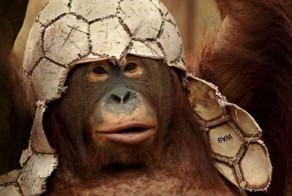 Легенда о черной повязке или как советский футболист убил обезьяну вратаря