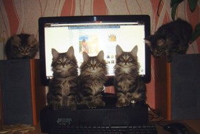 Подборка прикольных картинок