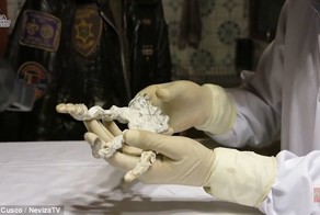 Найдена гигантская когтистая лапка: неужели это доказывает, что в Перу были инопланетяне?