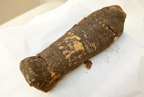 Плод любви фараона? Египетская мумия, которую считали мертвой птицей, оказалась ребенком