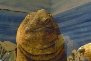 Самые тяжелые моменты из жизни свидетельницы на свадьбе