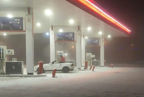 Люди и нелюди, ценящие комфорт превыше всего