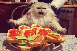 Просто картинки из сети