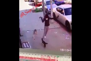 Страшнее кошки зверя нет!