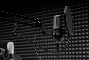 Голос - Инструмент, и они освоили его в совершенстве