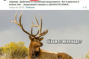 Смешные комментарии из социальных сетей