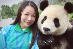 Эта гигантская панда просто обожает делать селфи!