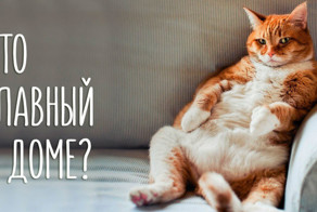 Нас поработили!