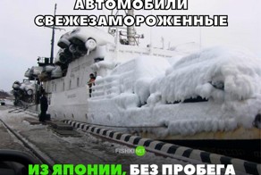 Свежая подборка автоприколов