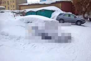 В Новосибирске грузовик проехал по капоту машины засыпанной снегом