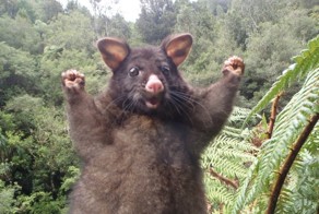 Немного интересного из сети