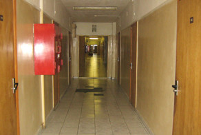 Ну, здравствуй, сосед