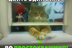 35 позитивных картинок, которые скрасят ваш рабочий день
