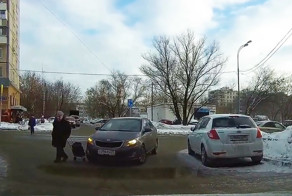 Водитель Киа наехал бабке на сумку