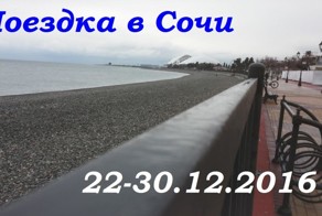 Подробный отчет о поездке в Сочи