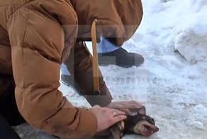 Житель Перми вбежал в горящую квартиру, чтобы спасти своих питомцев