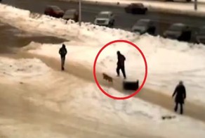 Собака духовкой сбивает с ног человека