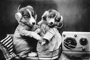 11 винтажных фотографий, доказывающих, что человечество всегда было странным