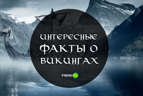 Факты о викингах, которые разрушают сложившиеся стереотипы