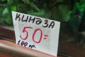 Вот почему нельзя прогуливать уроки русского языка в школе